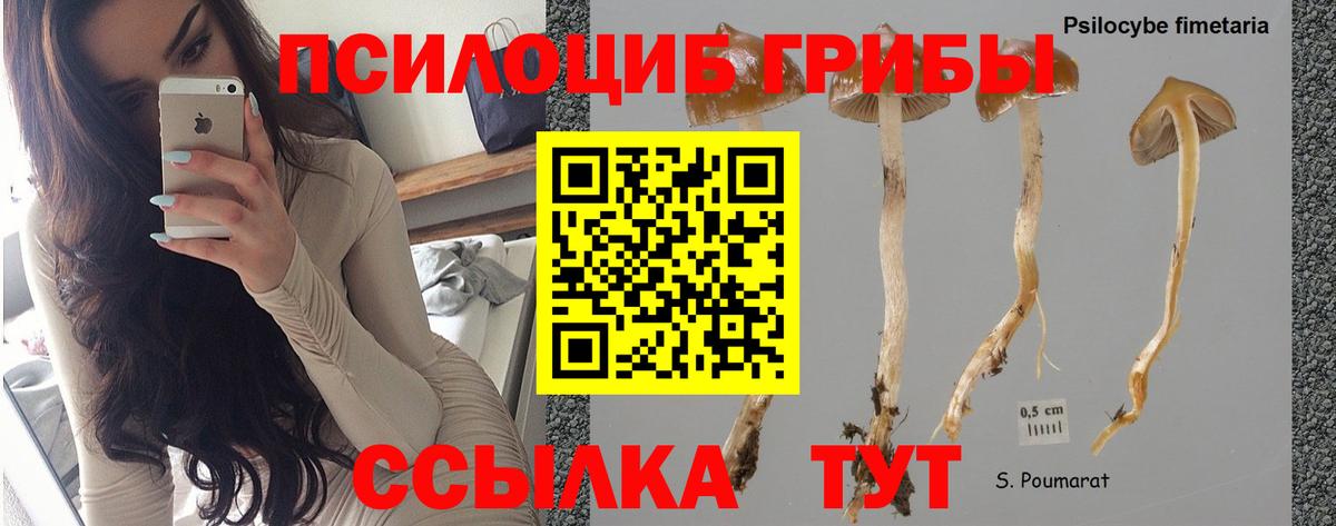 Псилоцибиновые грибы Magic Shrooms Батайск